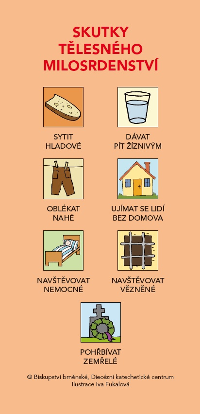 Náhled publikace